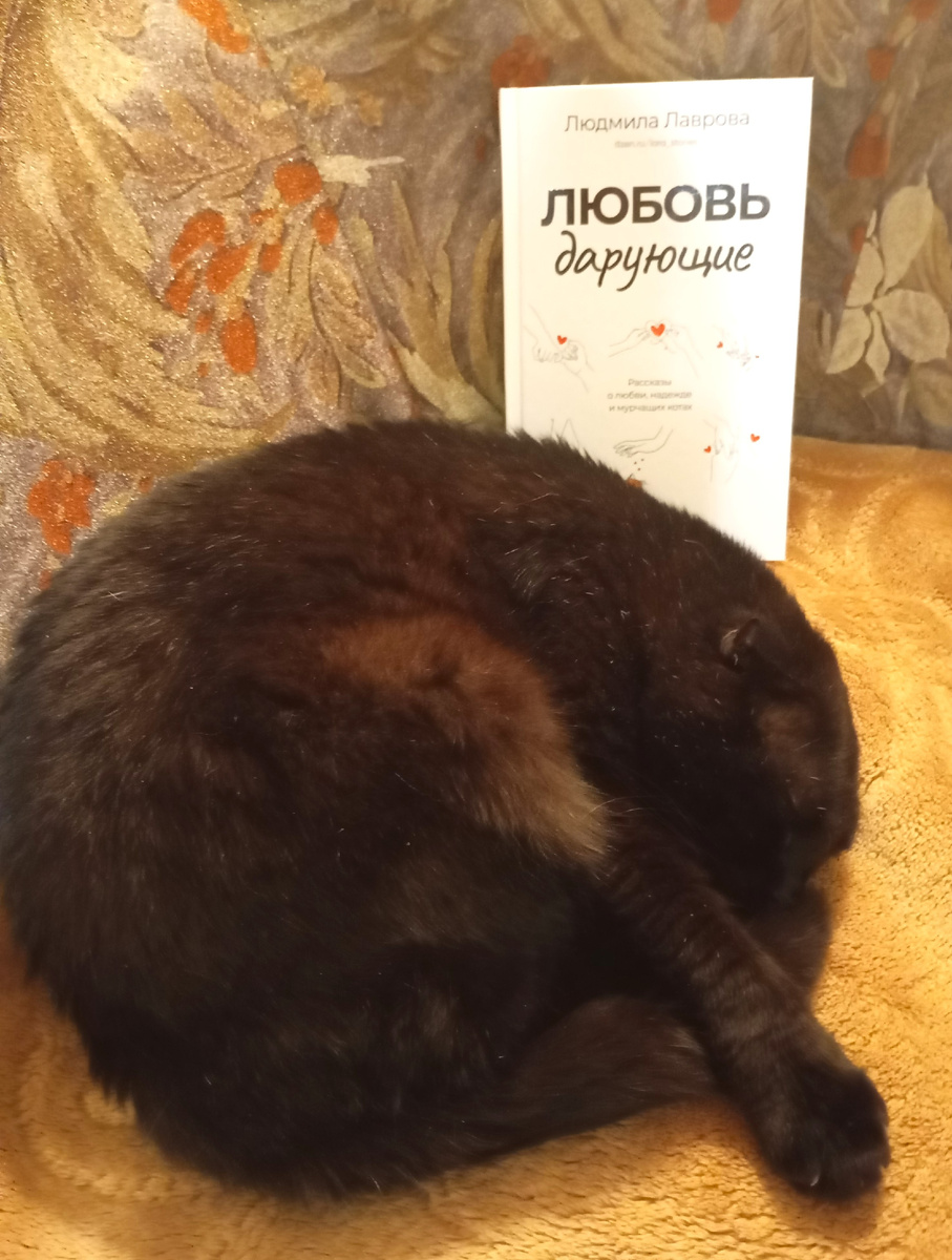 Фотография автора