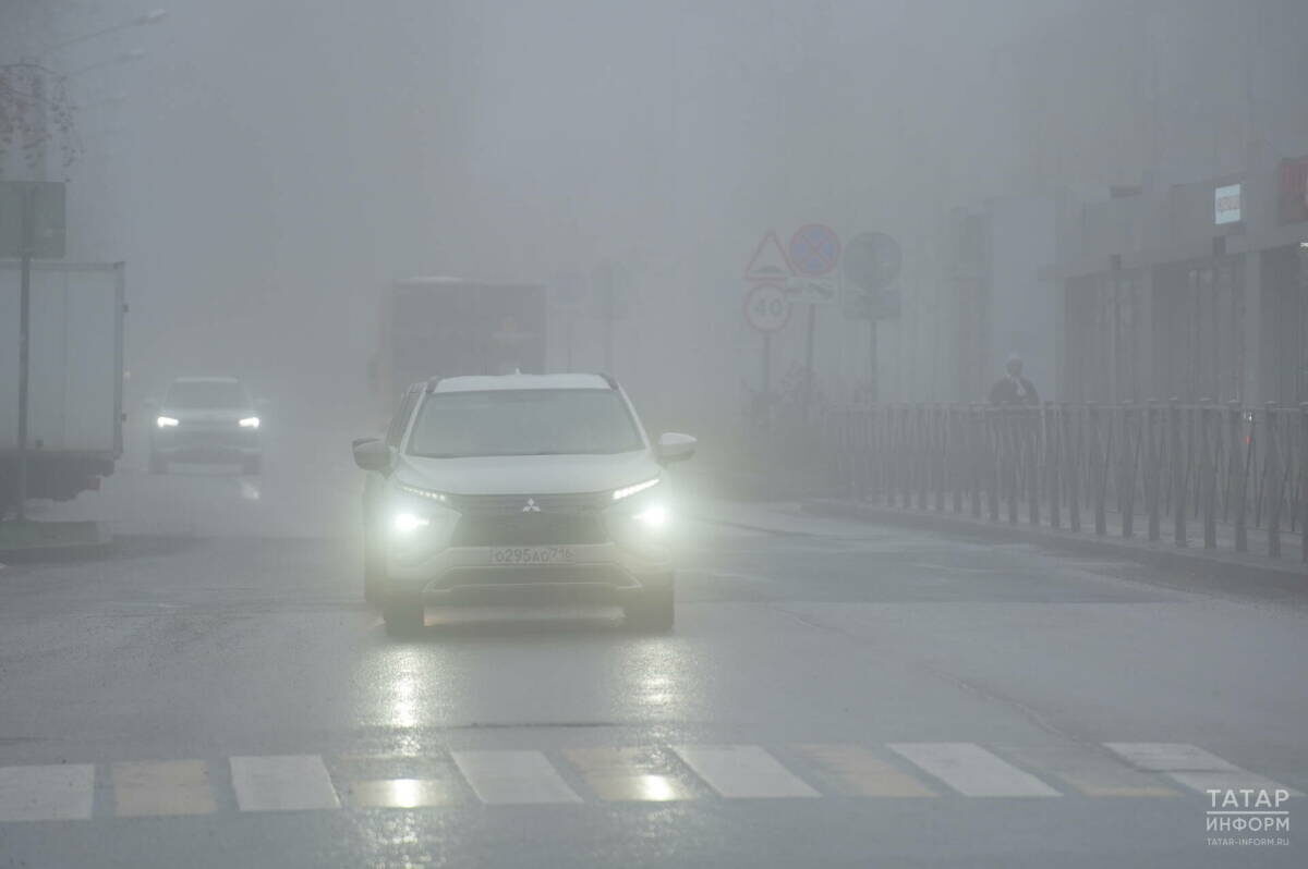 Фото: © Татар-информ