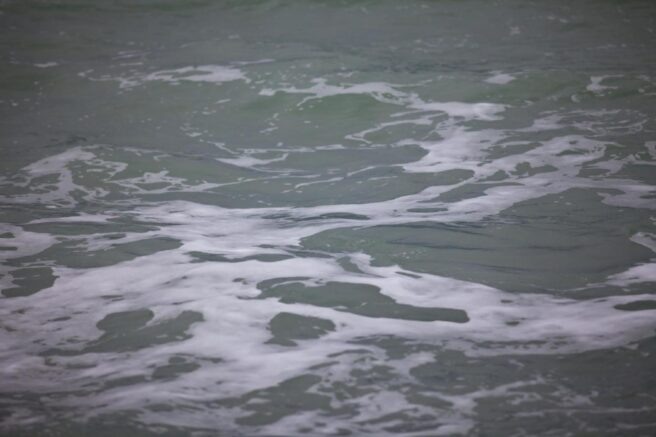    Фото: Юрий Гречко / Югополис