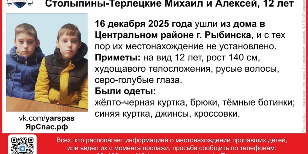 В Рыбинске второй день ищут пропавших мальчиков