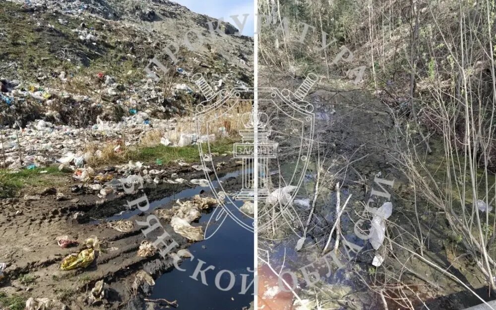    Фото: Прокуратура Брянской области