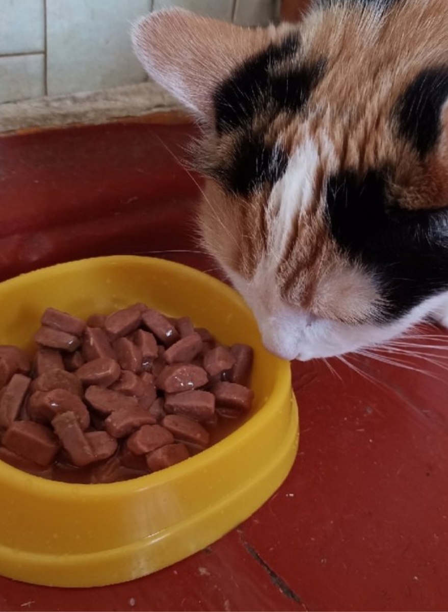 Фото из интернета