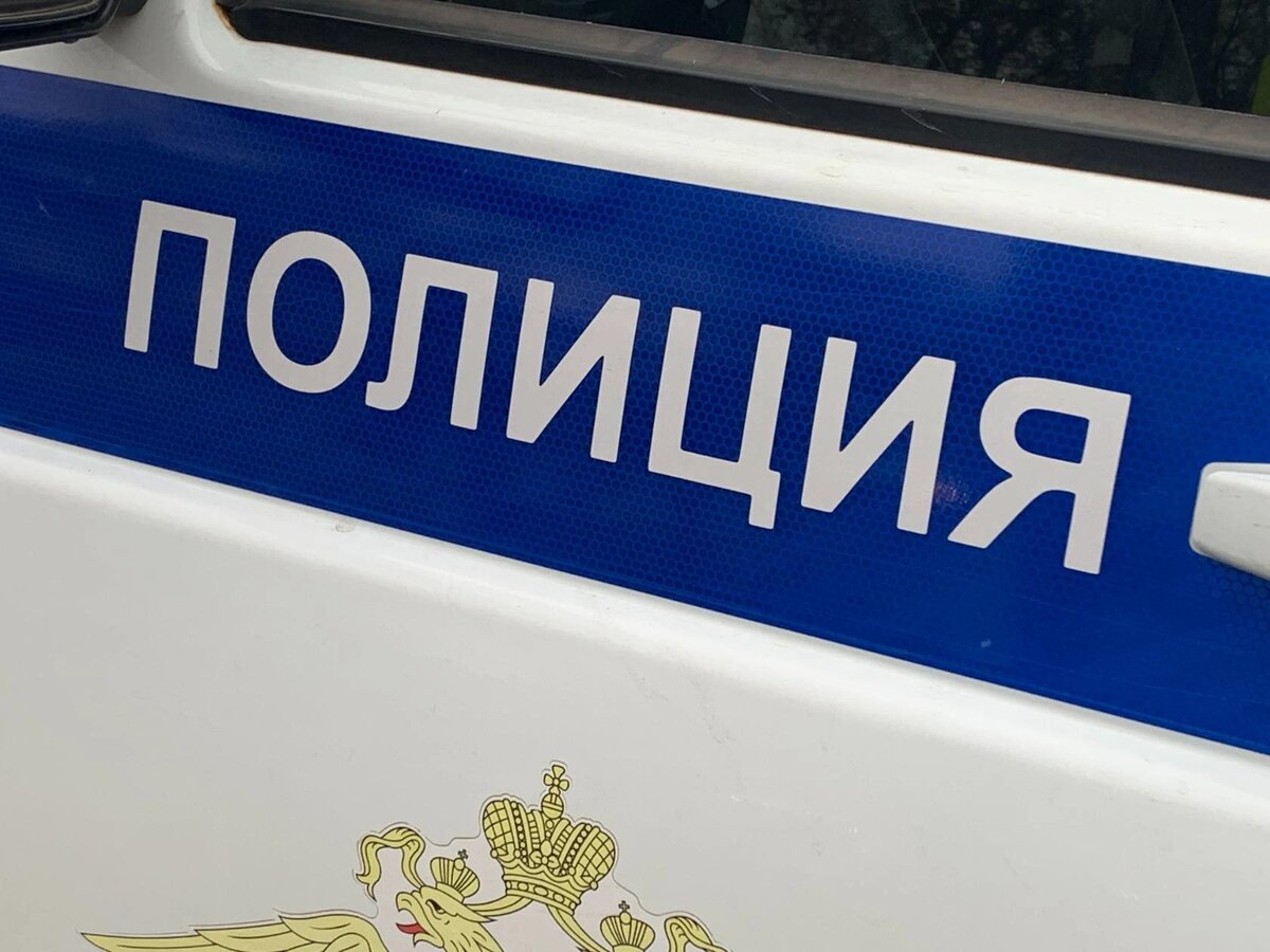    Фото: из публикаций 1Рнд