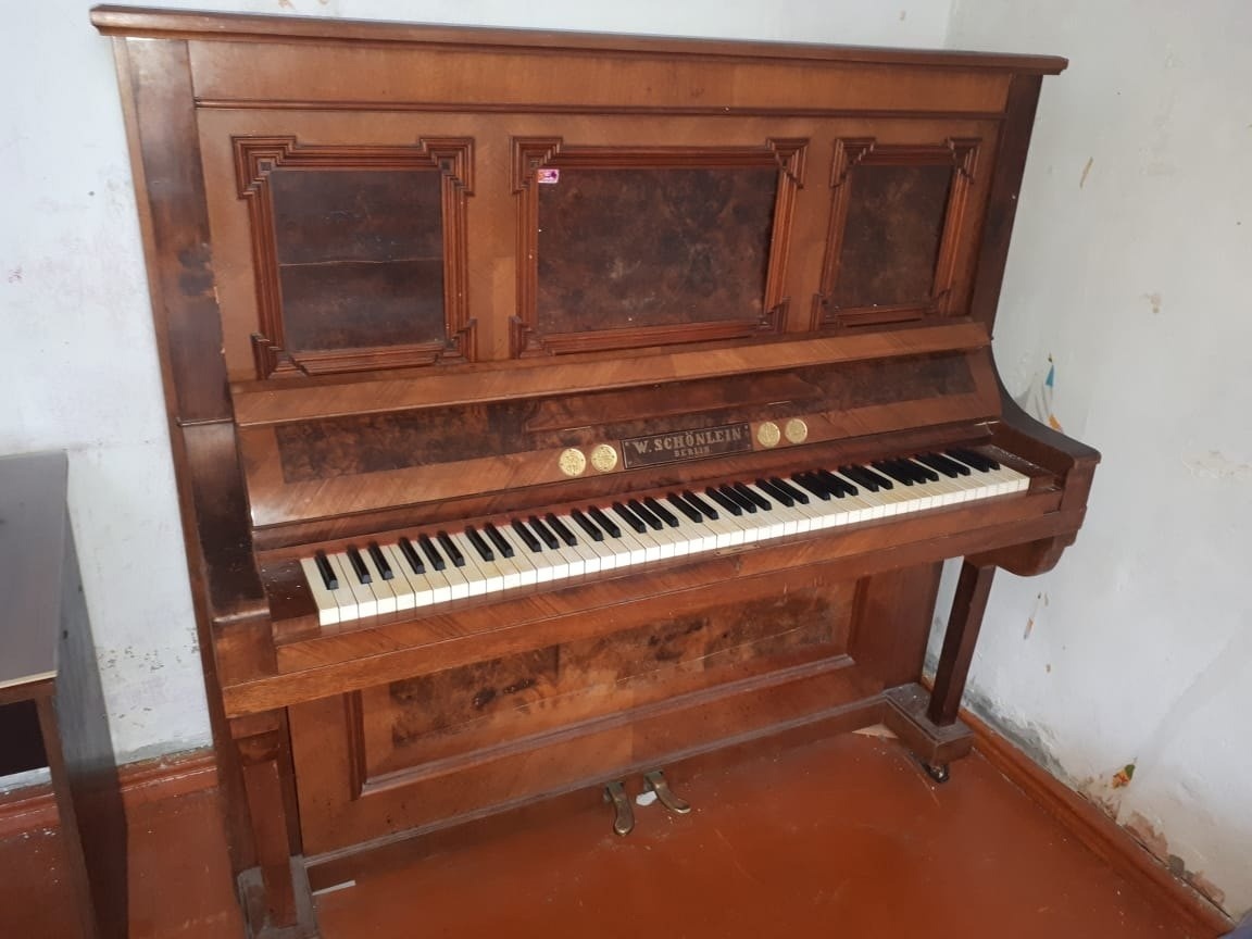 Виктория Розенберг / фото предоставлено для публикации hornews.com