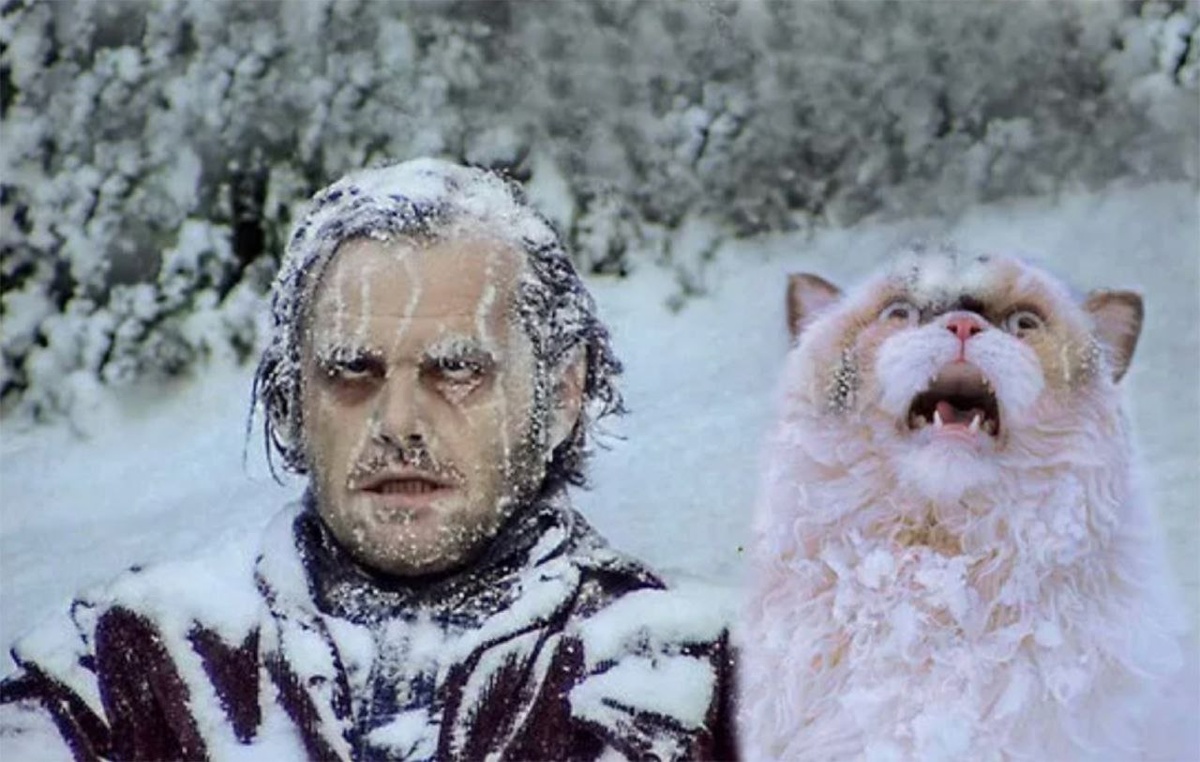 с просторов интернета