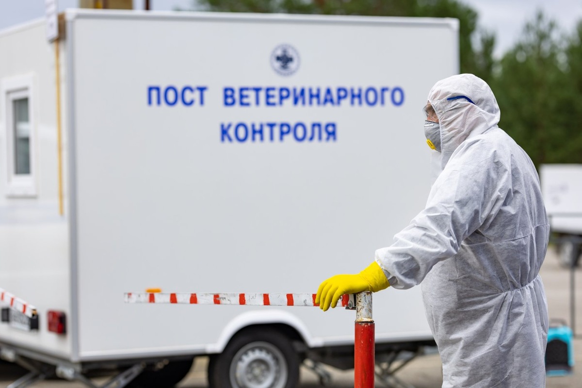    Ветслужба Югры отличилась высокими технологиями и федеральными наградами в 2025 году
