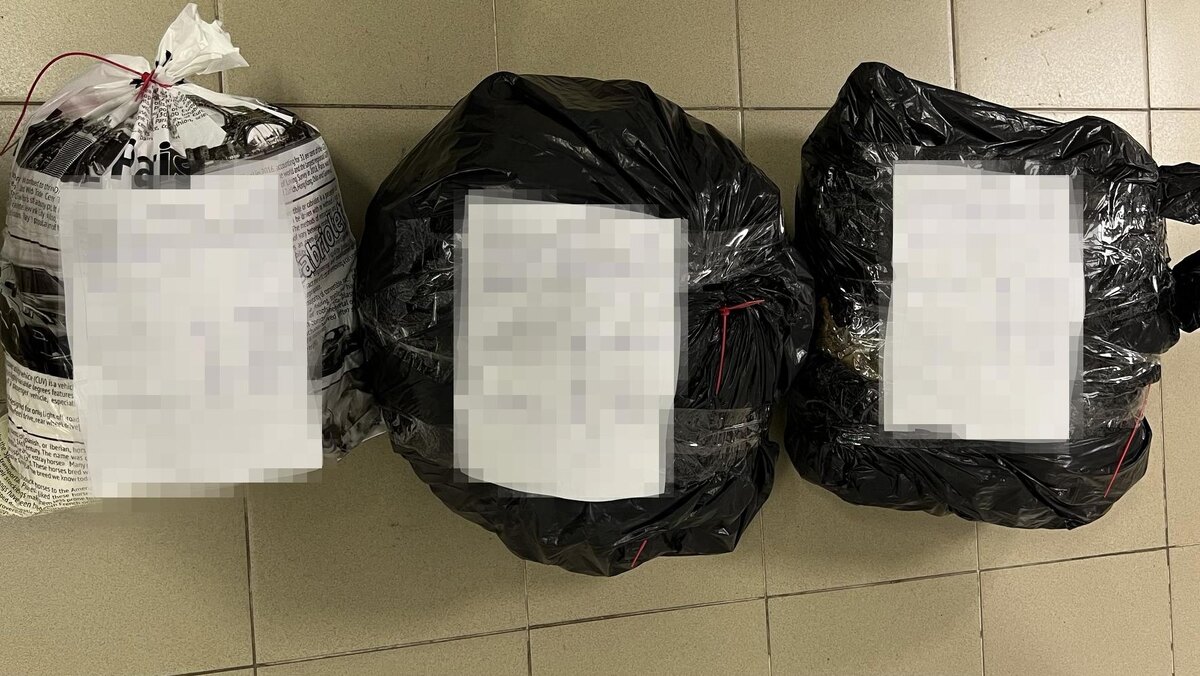    Фото: ФТС России