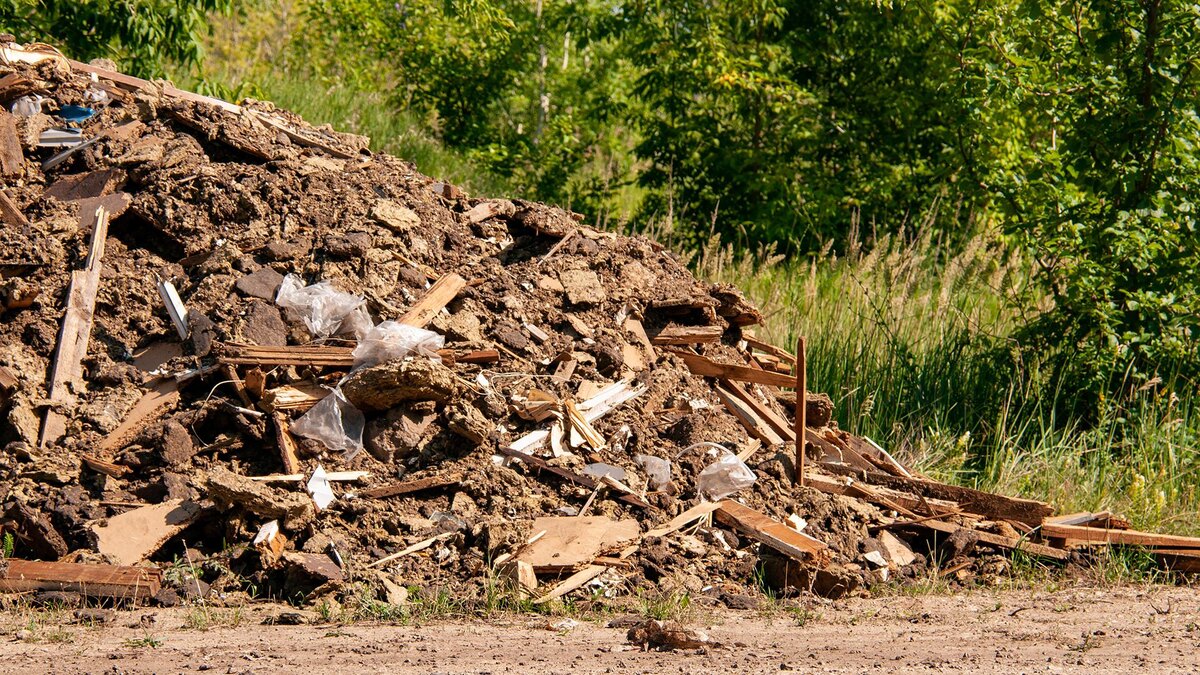    Фото: Svetlana Vozmilova/globallookpress.com
