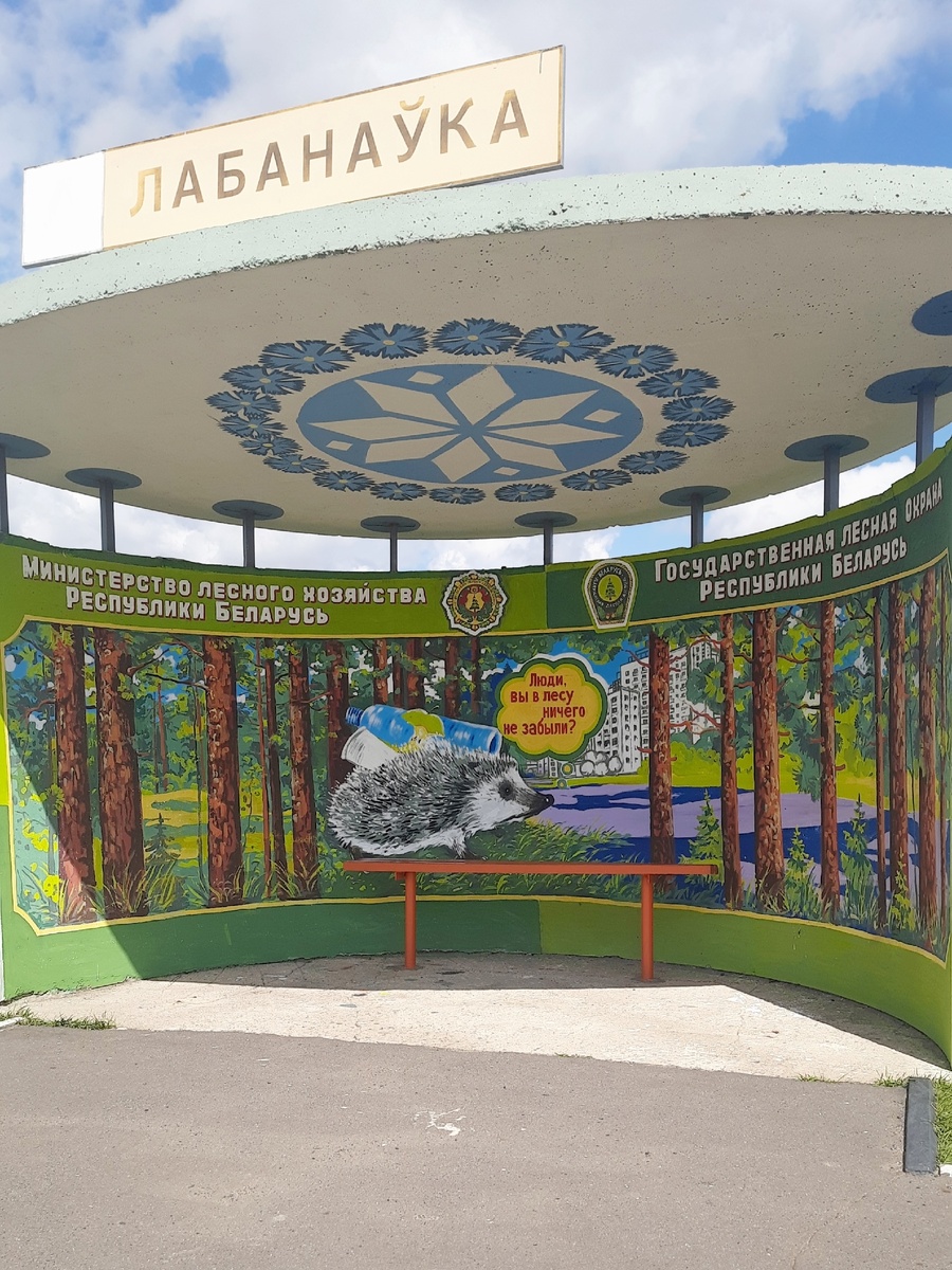 Живописных автобусных остановок набралась целая коллекция😀