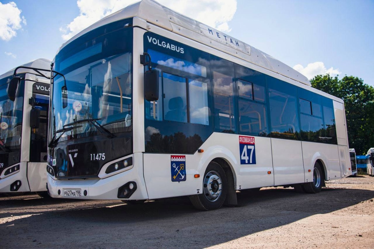 Фото: Национальная Транспортная Ассоциация 