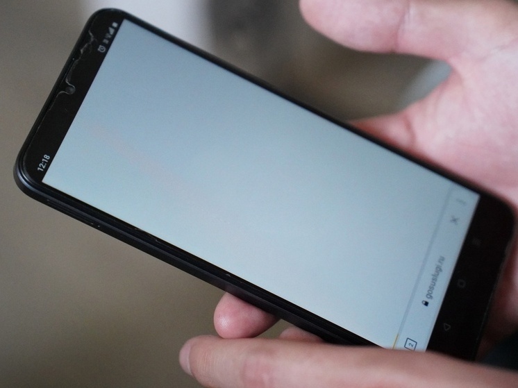     Фото принадлежит «Тульской прессе»