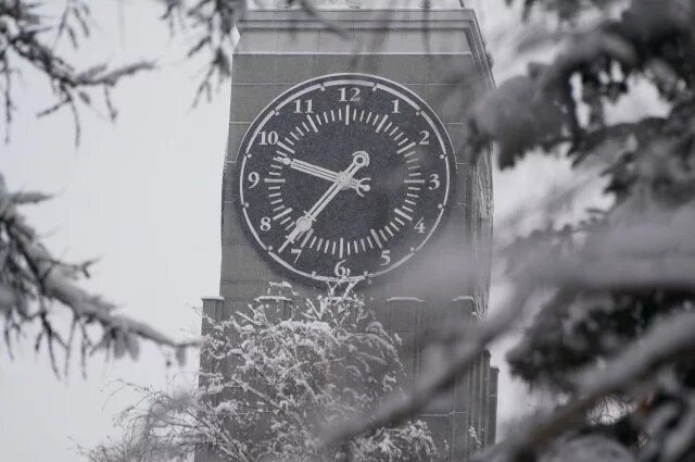    Кандидат на должность мэра Красноярска Лилия Назмутдинова. Досье