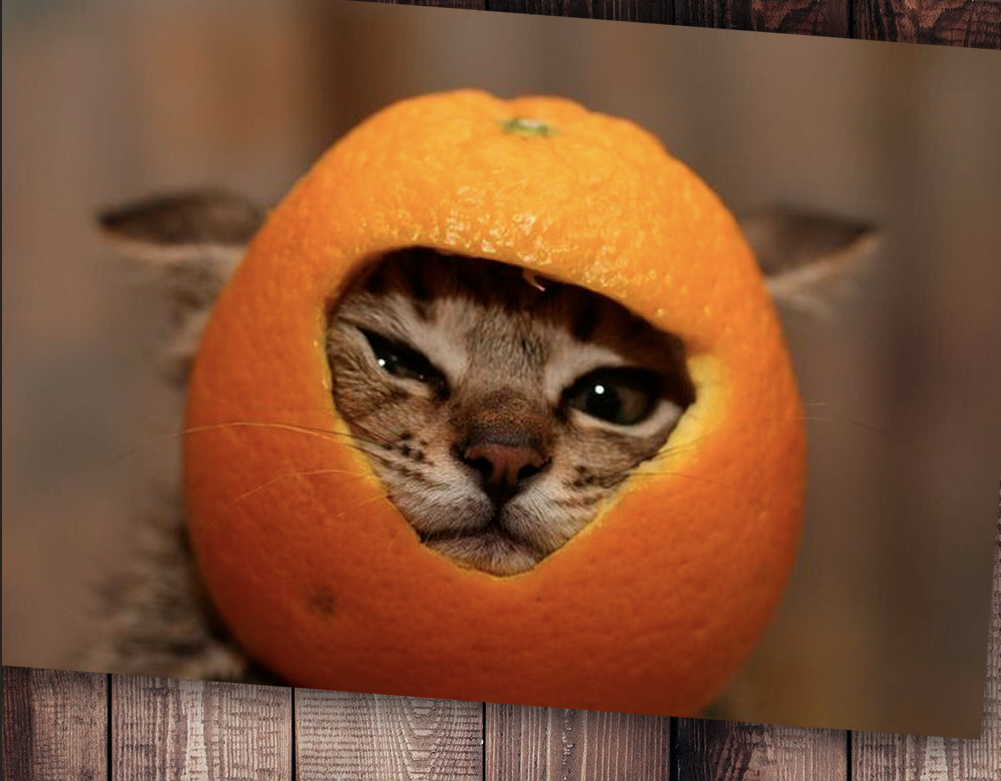 Фото с просторов интернета