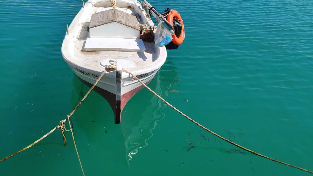    Фото: Телеканал Царьград