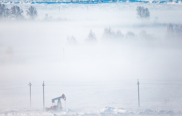 Егор Алеев/ТАСС