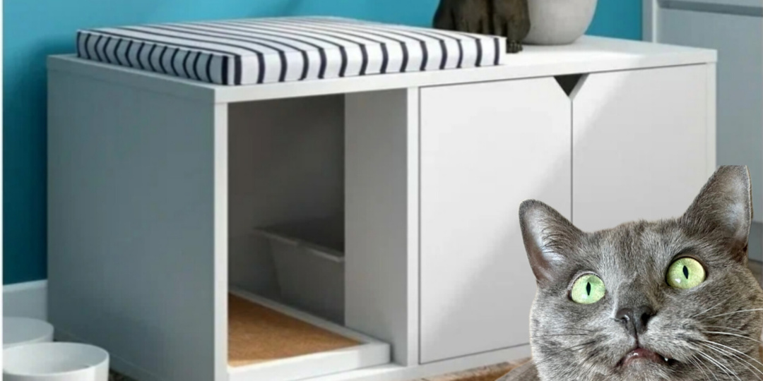 Хотела спрятать кошачьи какахи, но не получилось. Почему некоторые кошки не любят закрытые лотки