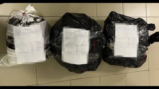    Фото: пресс-служба ФТС России.