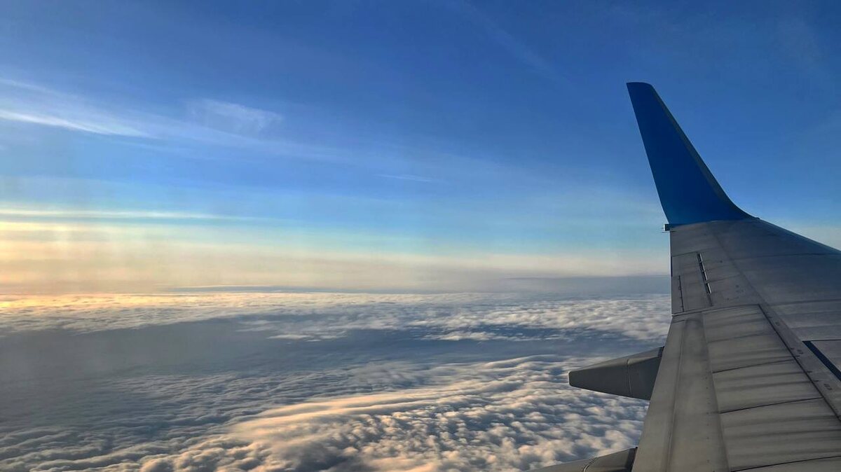    Анна Сальникова