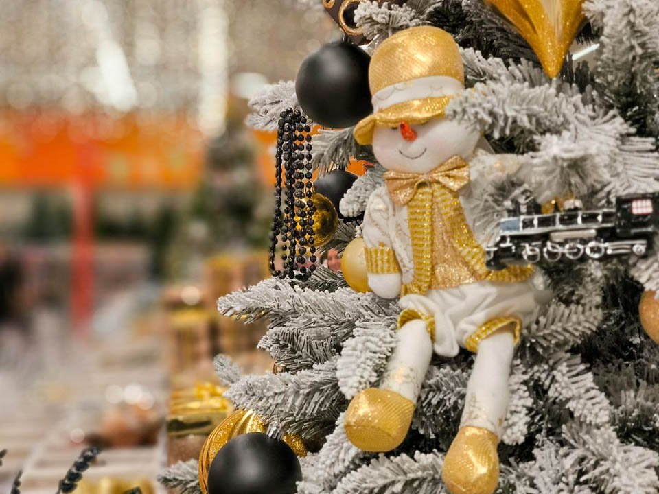    Фото: REGIONS/Роман Малышенко