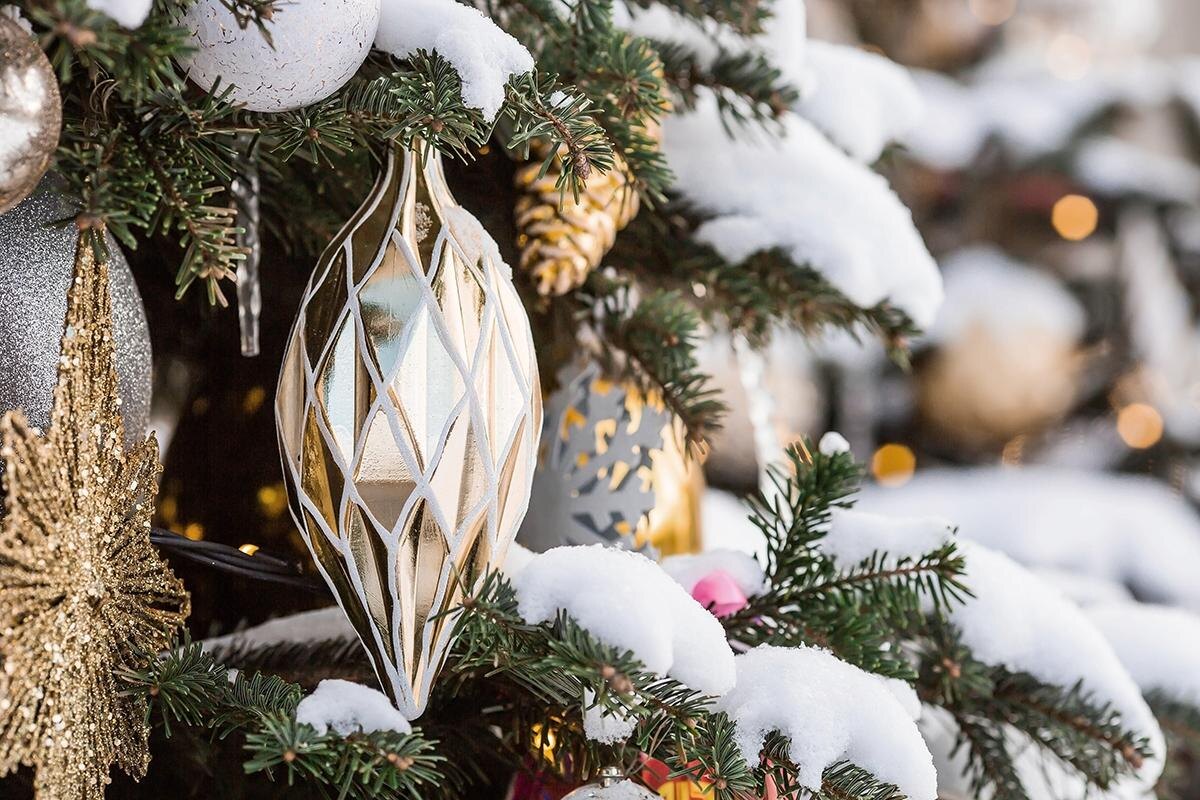    PhotoJuli86 / Shutterstock / FOTODOM