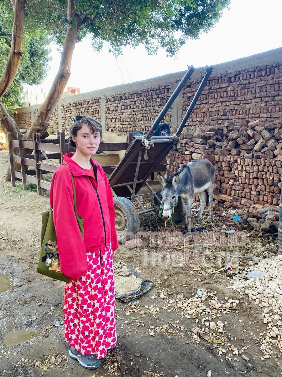 Источник: https://t.me/ostorozhno_novosti