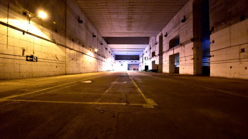     Эстония начала строить бункеры на границе с Россией www.globallookpress.com/Matthias Toedt/dpa-Zentralbild