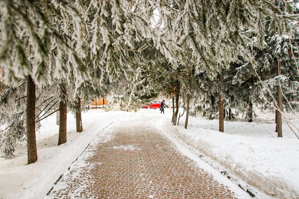    Погода. Зима. Мороз. Снег.. Источник: Виталий Барабаш