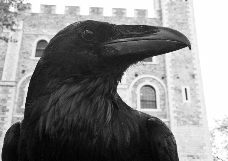 Британская Корона: ее цели и задачи