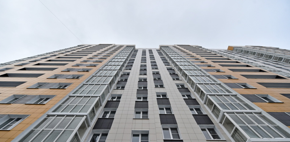     Общественный штаб по контролю за реализацией программы реновации провел встречу с Советом ветеранов Дмитровского района