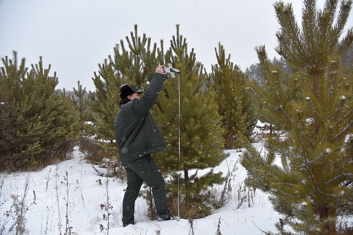 фото из яндекс.картинок