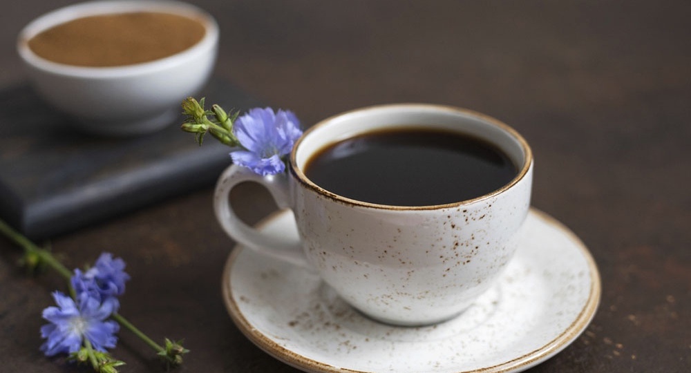 Цикорий: польза и вред для здоровья, кому можно пить, а кому нельзя