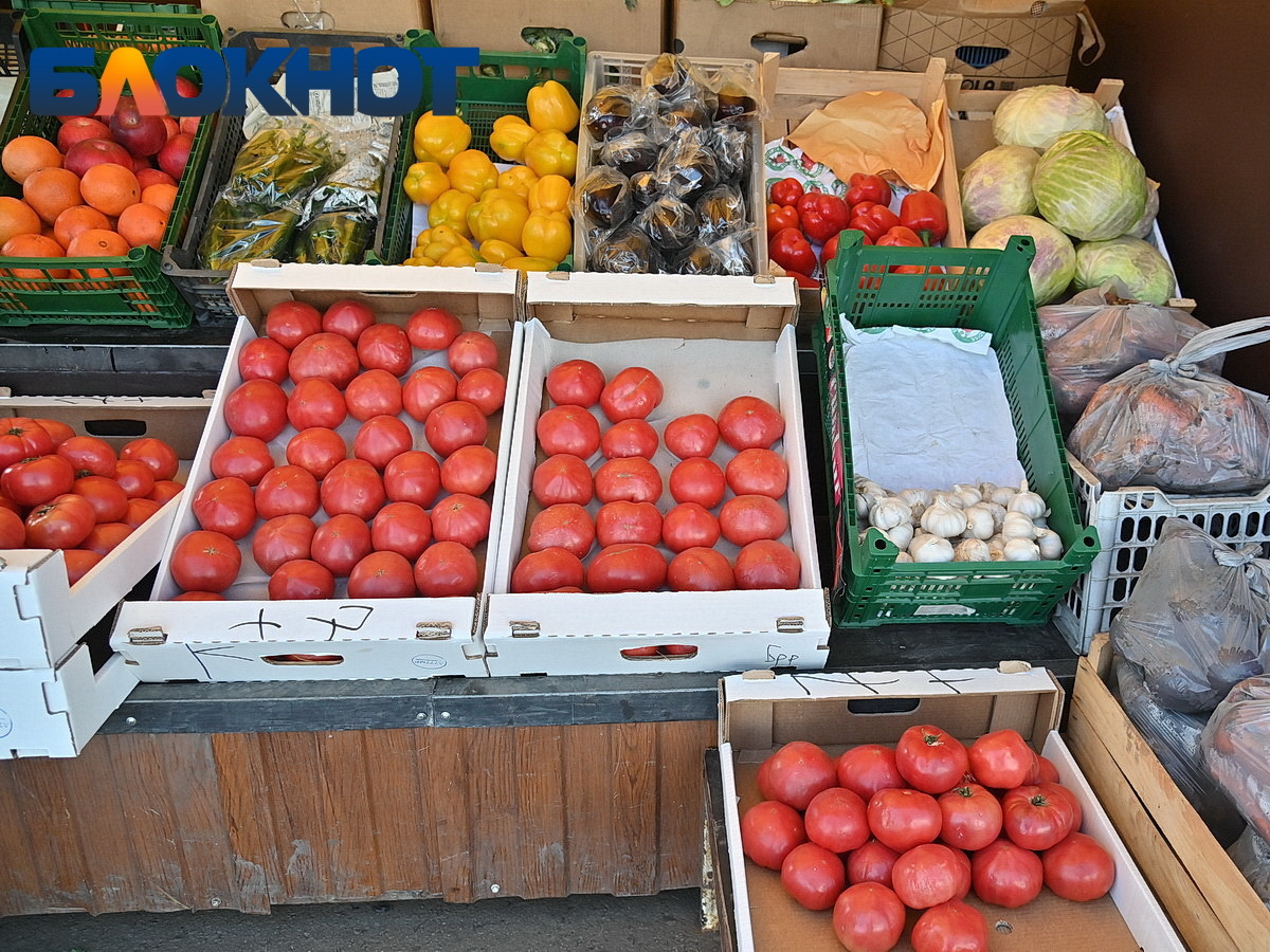 Фото: "Блокнот Краснодар" 