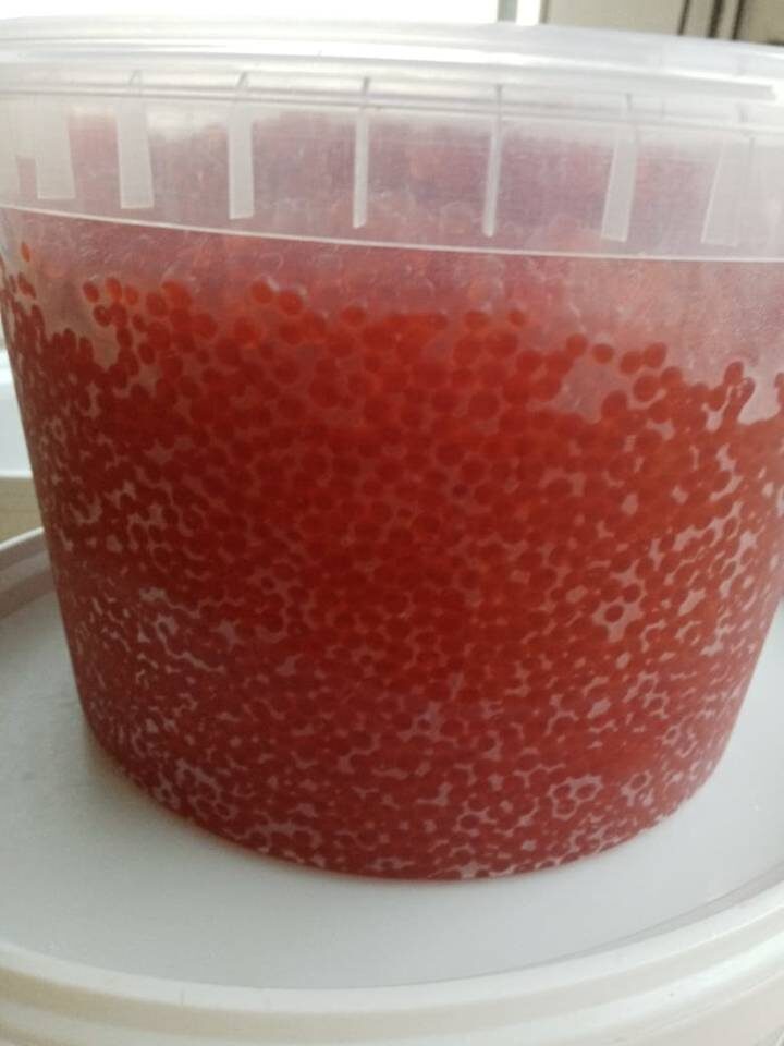    Фото: Елена Силантьева / "Городские вести"