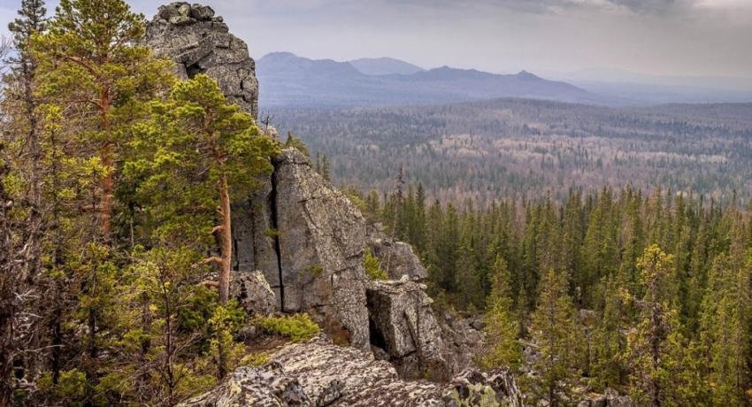 Фото из свободных источников для иллюстрации. 