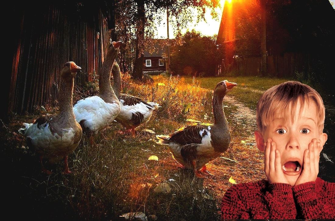 Фото с просторов всемирной паутины.