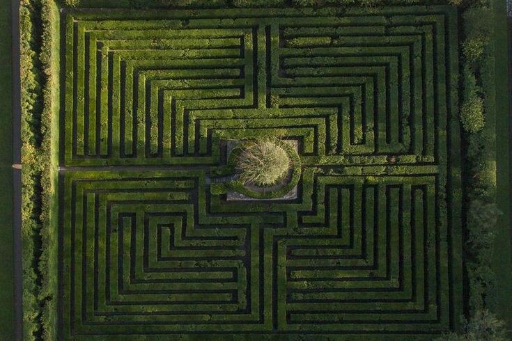 Фотография взята из источника yandex.ru