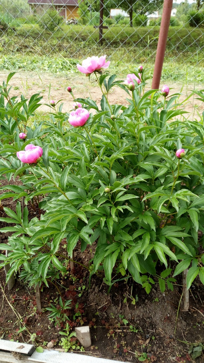 Хочу туда. И нет там никаких проблем)