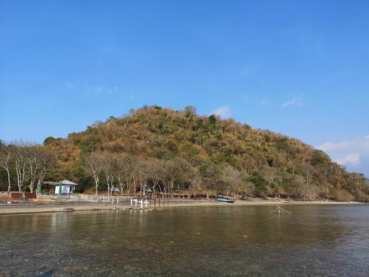 Фото пользователей гугл карт 