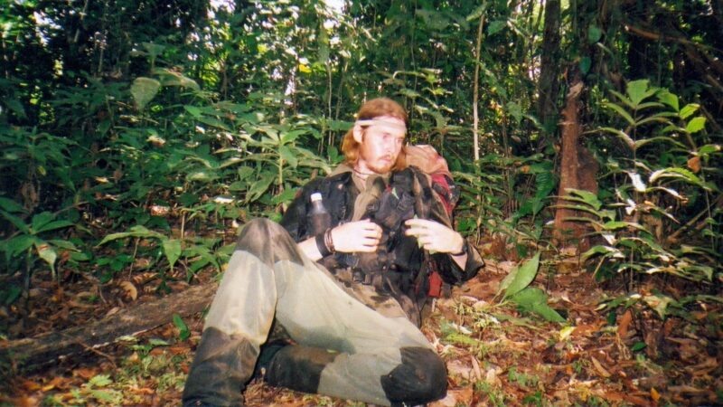 Бушби в джунглях