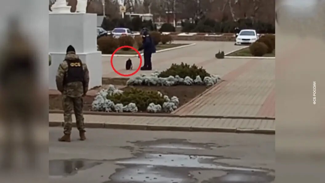    Вот тот самый рюкзак с бомбой в Волгодонске. Фото: скриншот видео ФСБ