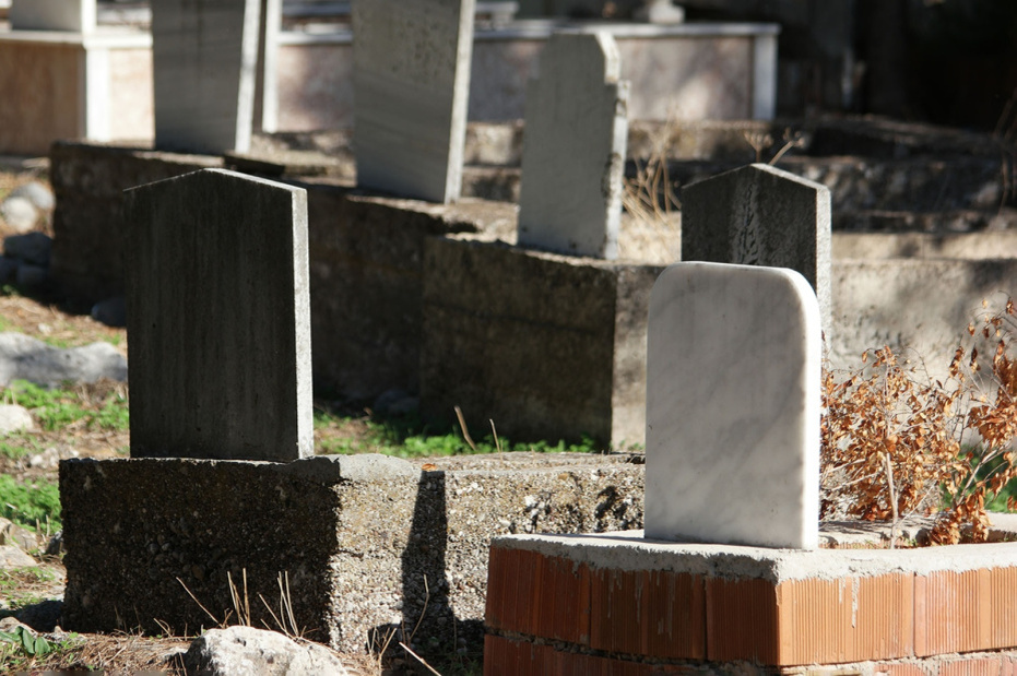    Shutterstock/FOTODOM