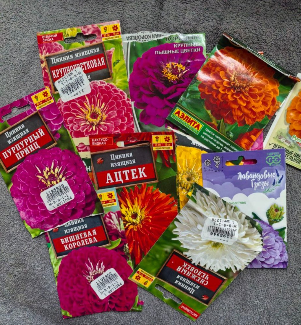 Набор семян цинний