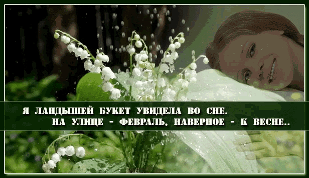 Чем не предсказание?! 