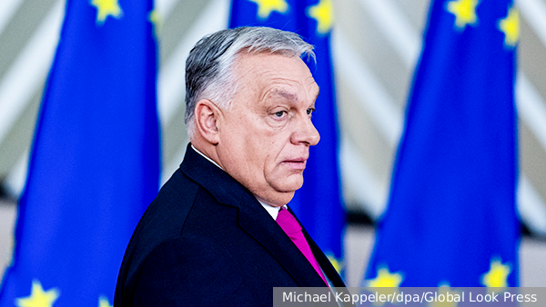     Фото: Michael Kappeler/dpa/Global Look Press   
 Текст: Дарья Григоренко