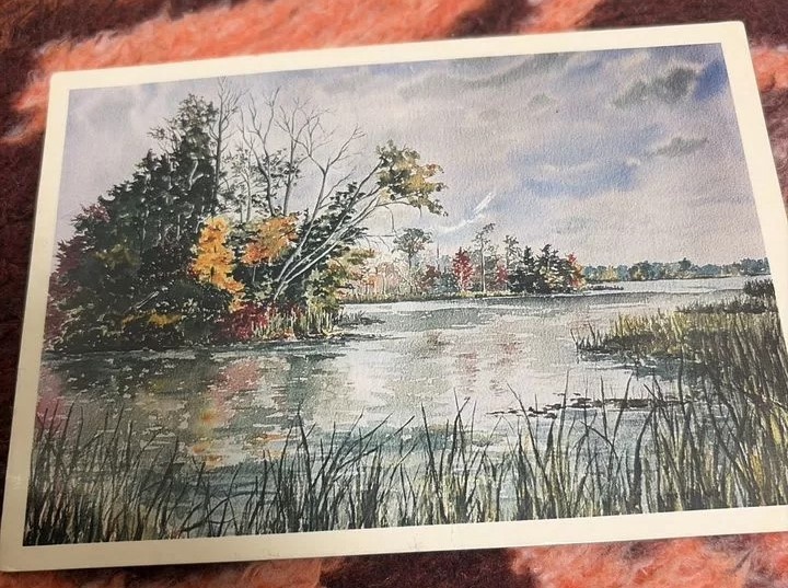 Фото - Авито