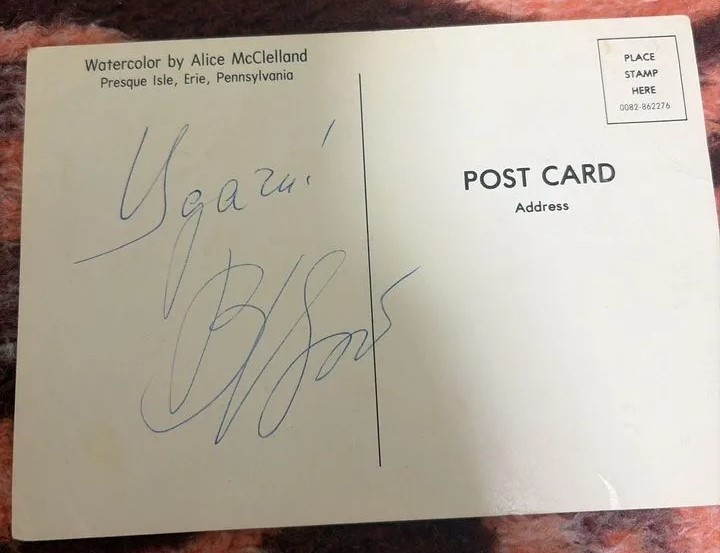 Фото - Авито