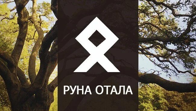 Руна переводиться ещё как одал , а значит что запросил у Вселенной , то в и получил за свои поступки и действия