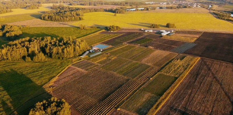 Наши поля с высоты птичьего полёта