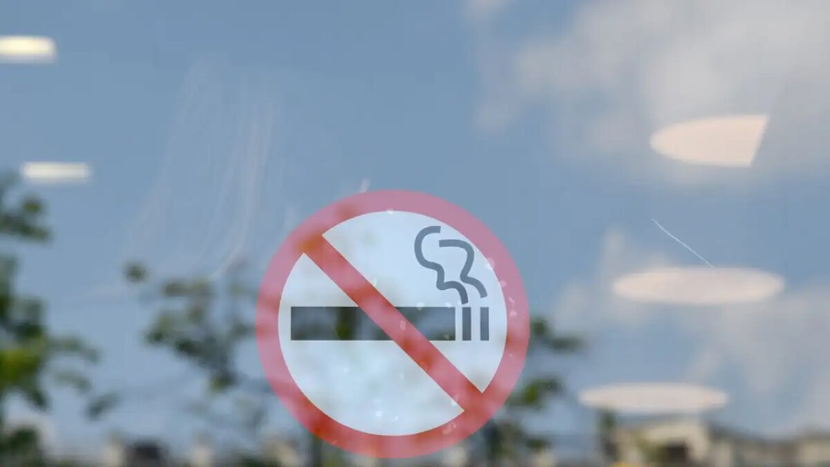     © АГН "Москва"