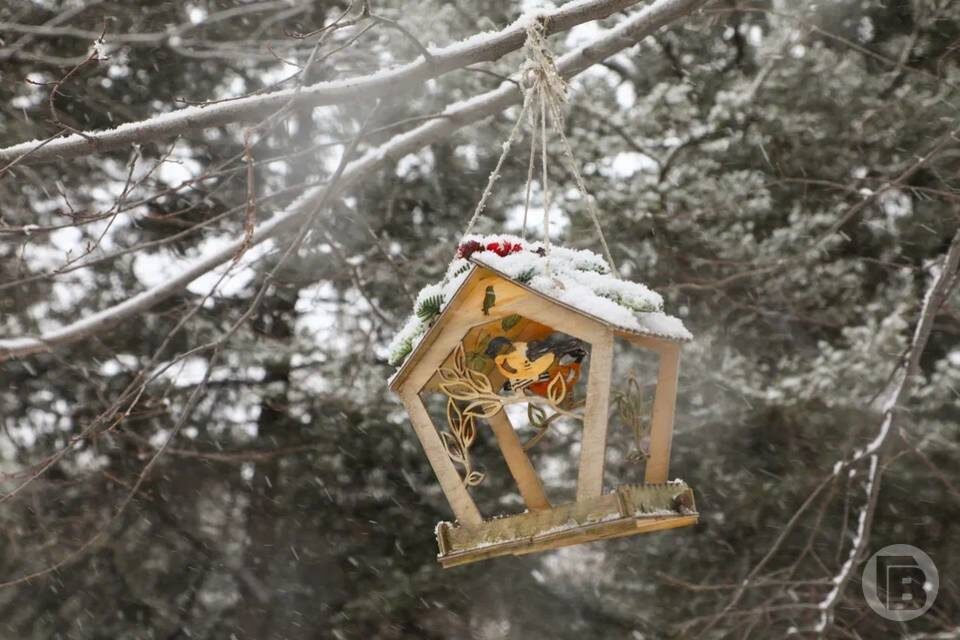    Фото: Дмитрий Рогулин / "Городские вести"